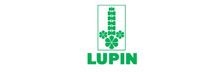 Lupin