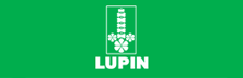 Lupin