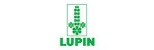 Lupin