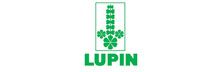  Lupin