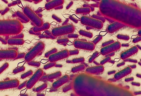 Will Salmonella Evolve into Next Big Global Health Concern? Will Salmonella Evolve into Next Big Global Health Concern? India Pharma Outlook