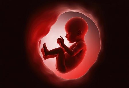 Tylenol Exposure in Pregnancy: What the Latest Evidence Shows Tylenol Exposure in Pregnancy: What the Latest Evidence Shows India Pharma Outlook