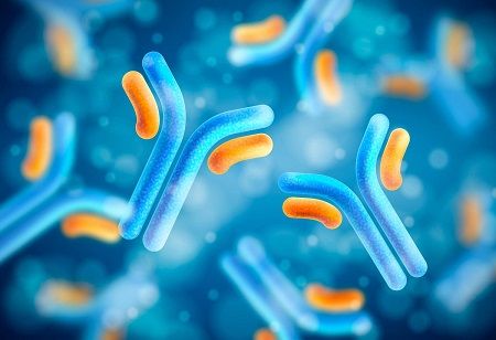 Sanofi Adds 4 Long-Acting Antibodies for USD 1Bn Sanofi Adds 4 Long-Acting Antibodies for USD 1Bn India Pharma Outlook