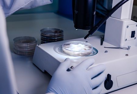 IVF Clinics under Watch as NCW Backs Reproductive Rights IVF Clinics under Watch as NCW Backs Reproductive Rights India Pharma Outlook