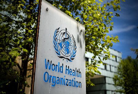 WHO Declares First Human Shamonda Case Unlikely to Spread WHO Declares First Human Shamonda Case Unlikely to Spread India Pharma Outlook
