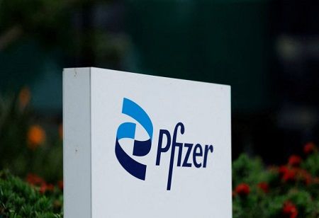 Pfizer-Valneva Lyme Vaccine Shows Strong Phase 3 Efficacy Pfizer-Valneva Lyme Vaccine Shows Strong Phase 3 Efficacy
