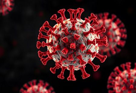 Could Bundibugyo Virus Trigger the Next Ebola Scare? Bundibugyo virus, Ebola outbreak, India Pharma Outlook